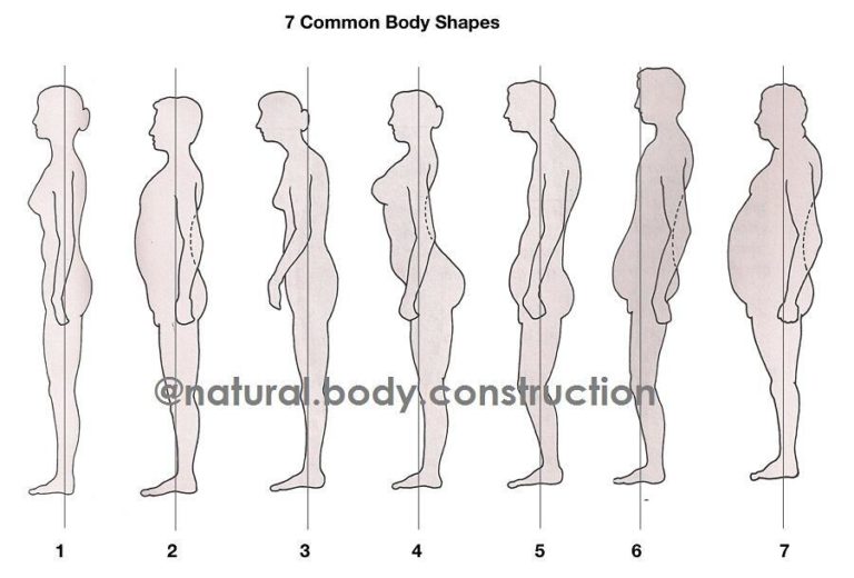 7 Common Body Shapes – Fitnessology